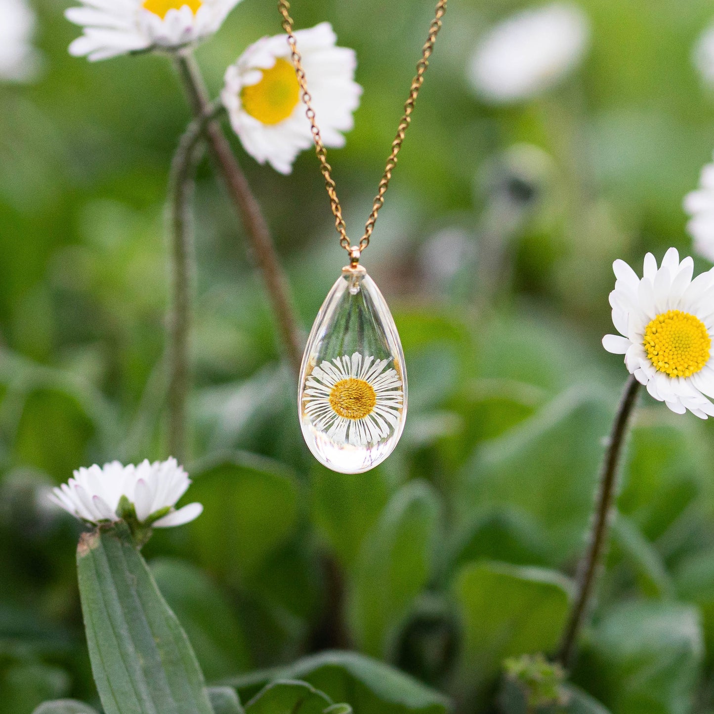Collana RUGIADA in resina con fiore Margherita - Pratolina, montatura in acciaio inossidabile