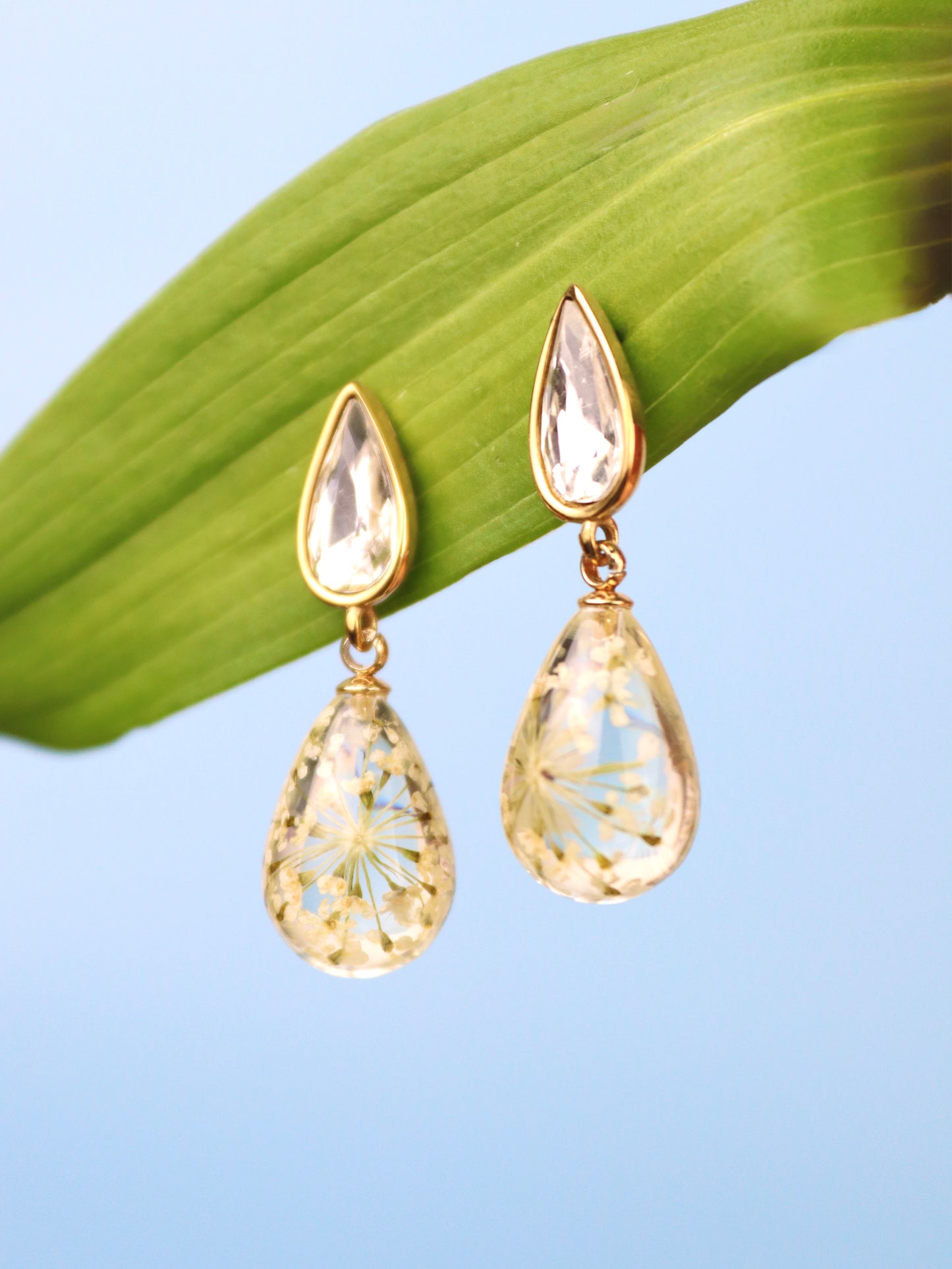 Orecchini Pendenti in Resina con Fiori Veri di Pizzo della Regina Anna bianco - RUGIADA, Acciaio Inox