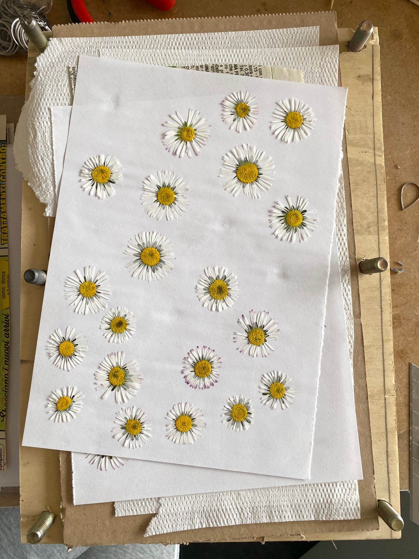 Collana in acciaio inossidabile e ciondolo in resina con Margherita mini