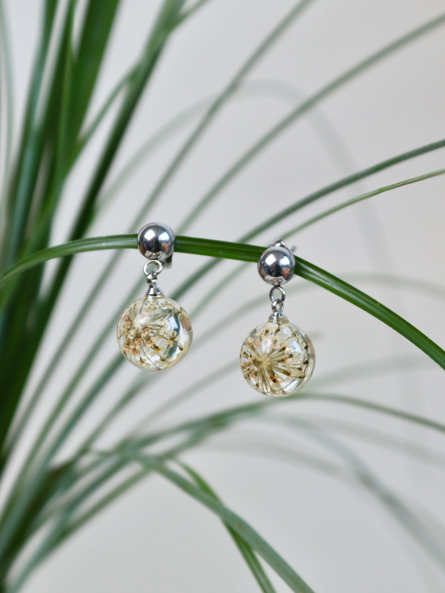 Paio di orecchini BOLLE - sfere pendenti con fiore vero Pizzo della regina Anna bianco e montatura acciaio inox