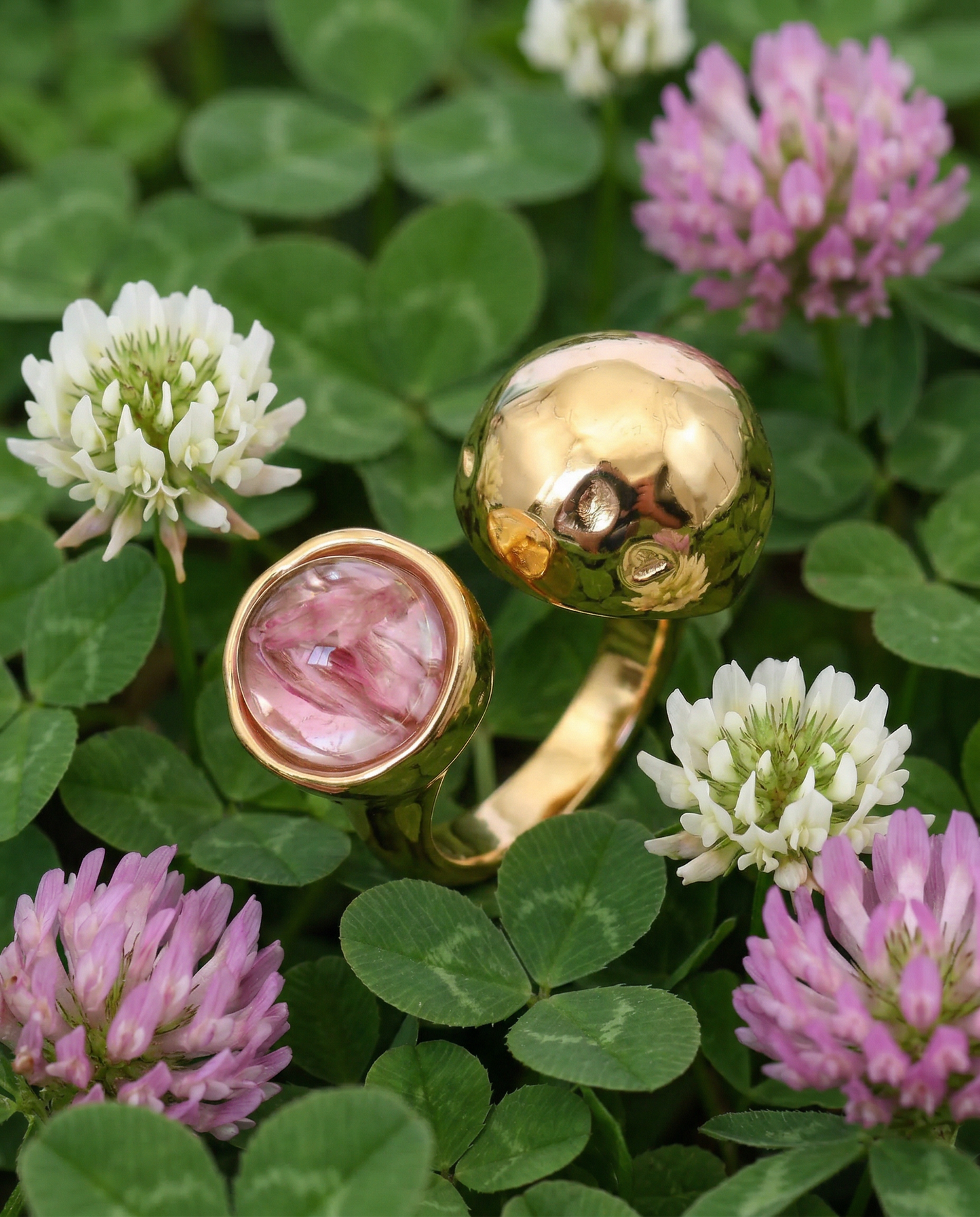 Anello PETRA regolabile in acciaio inox e fiore vero preservato nella resina TRIFOGLIO